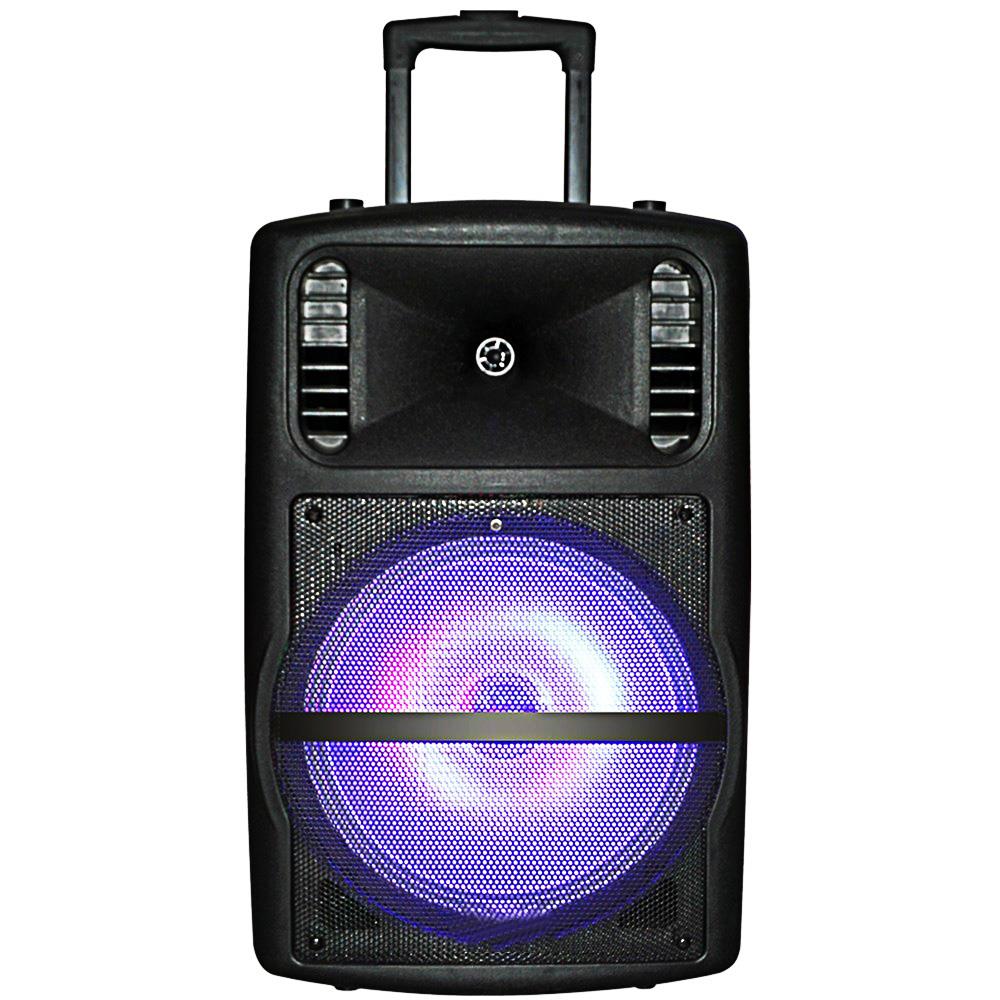 12 inch portable amplifier wireless microphone speaker