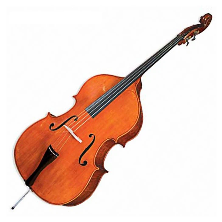 Bass berganda