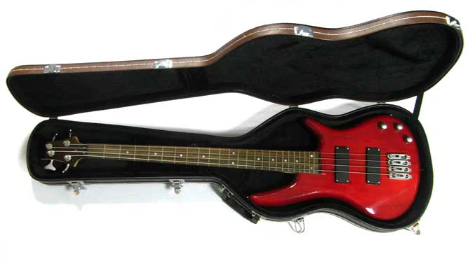 Electric Bass Guitar Cases