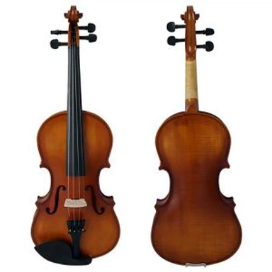 Violin Maple