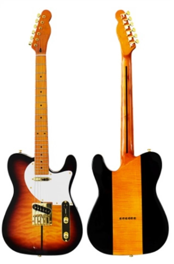 Gitar Elektrik Peringkat Kemasukan yang menjimatkan kos